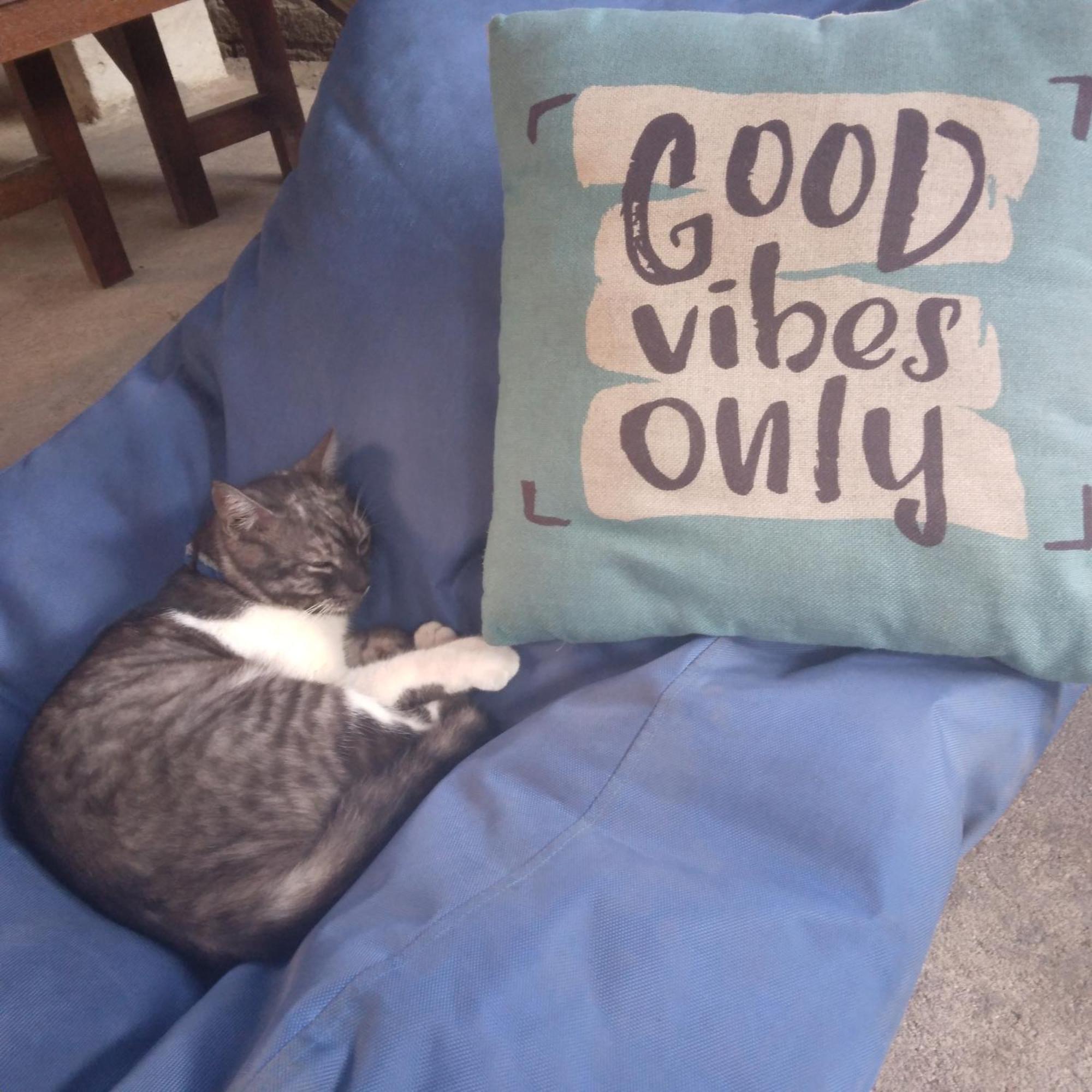 Good Vibes Bungalows Gili Trawangan Dış mekan fotoğraf